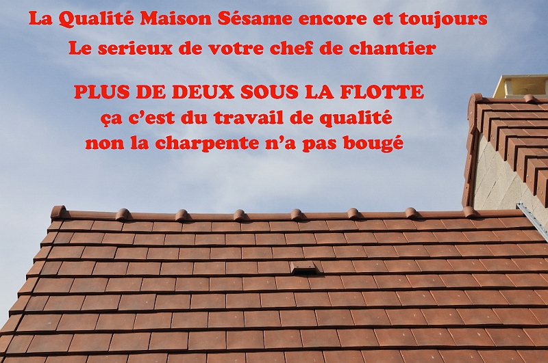 DSC_3938 copie.jpg